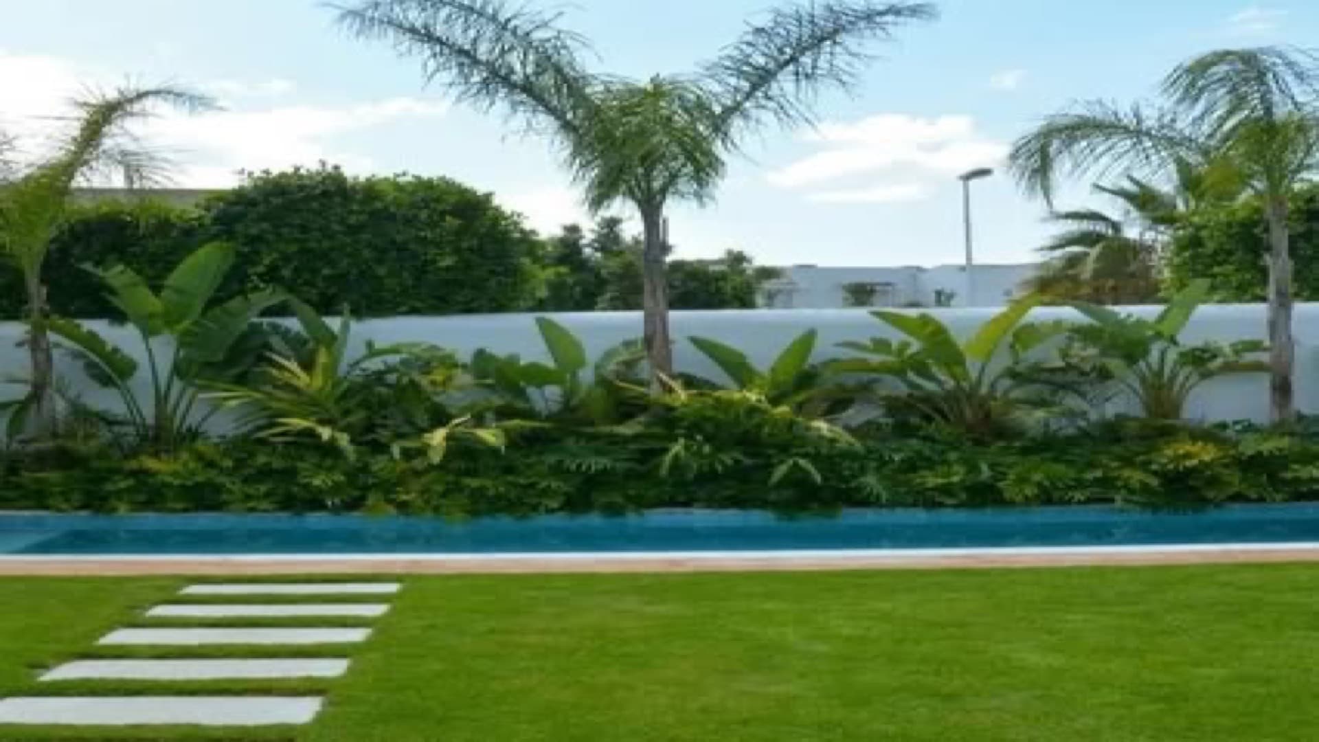 piscine naturelle - Villa B4