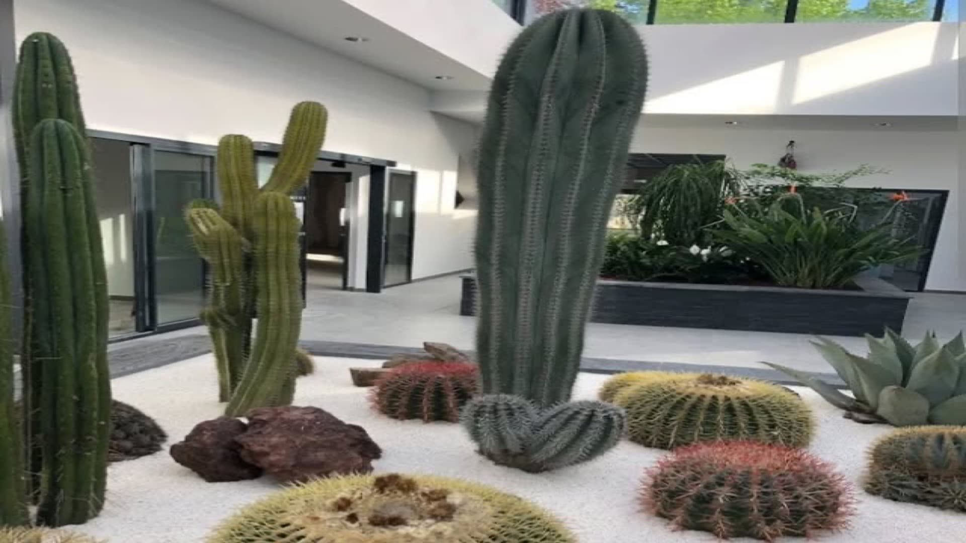 Aménagement Paysager