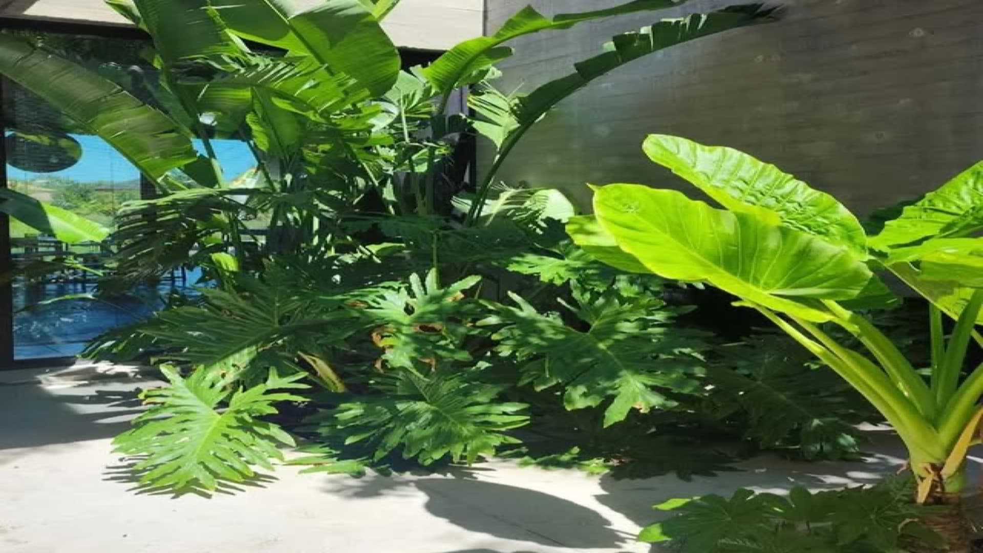 Paysage Zen & Sérénité