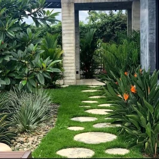 Aménagement de jardin & architecture paysagère